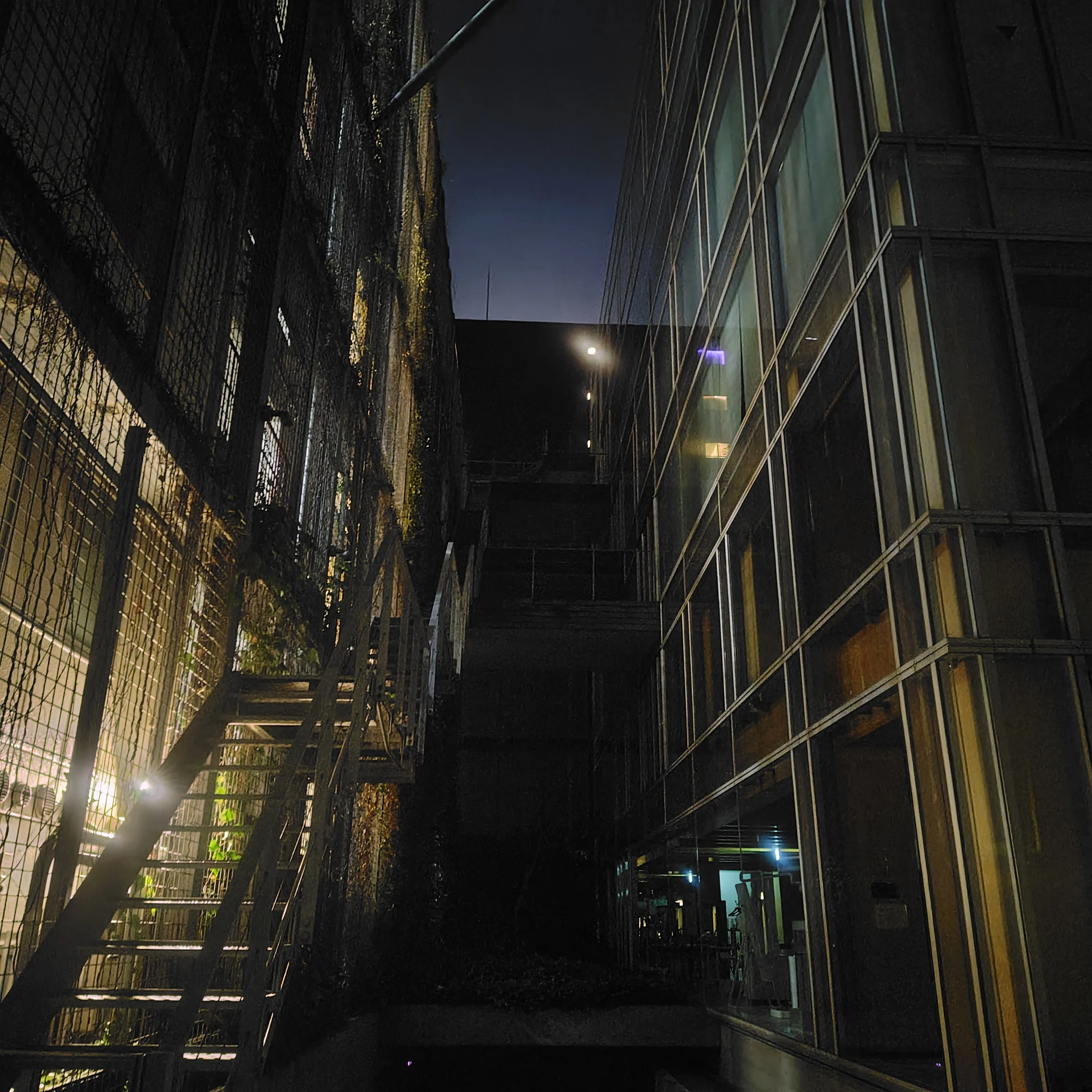 2nd night's photo